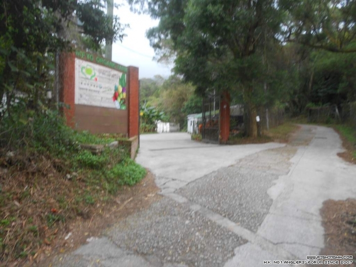 DSCN1666.JPG