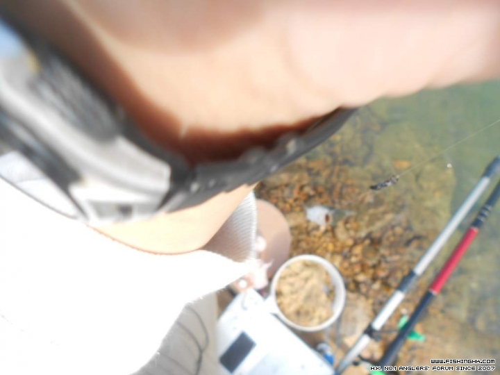 DSCN1694.JPG