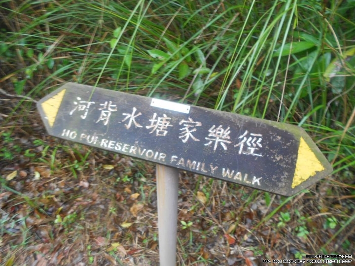 DSCN1705.JPG