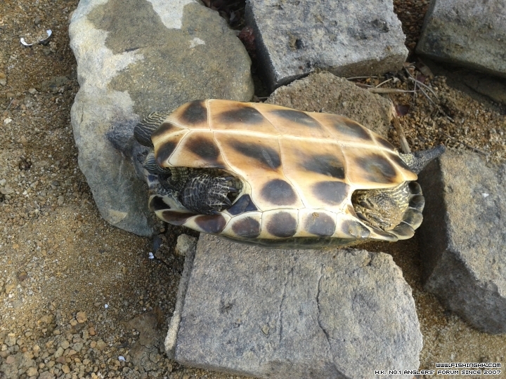 20150310_092850.jpg