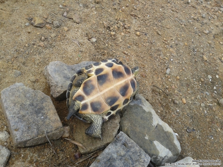 20150310_092938.jpg