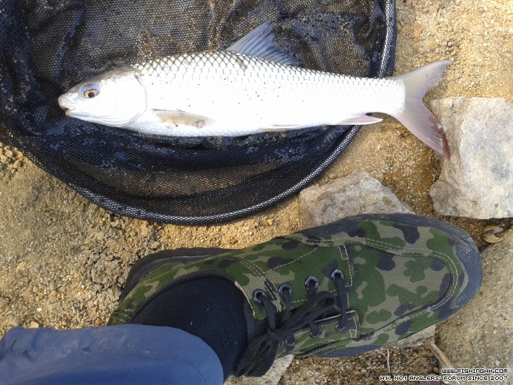 20150310_094425.jpg