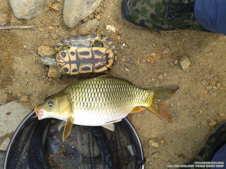 20150310_112749.jpg