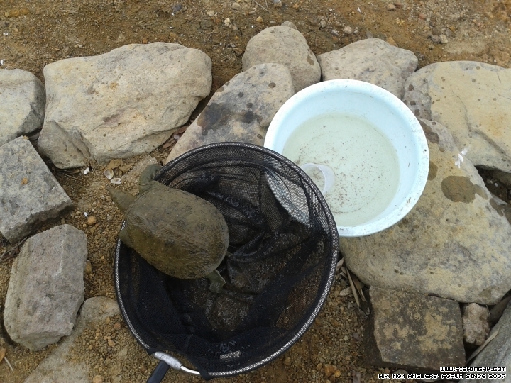20150310_123111.jpg