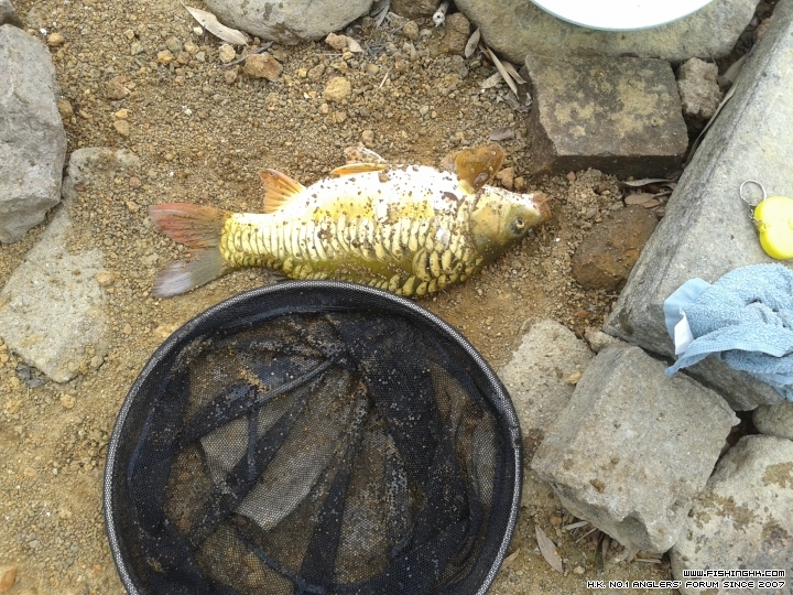20150310_133506.jpg