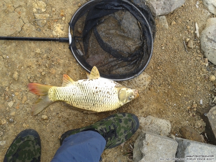 20150310_141108.jpg