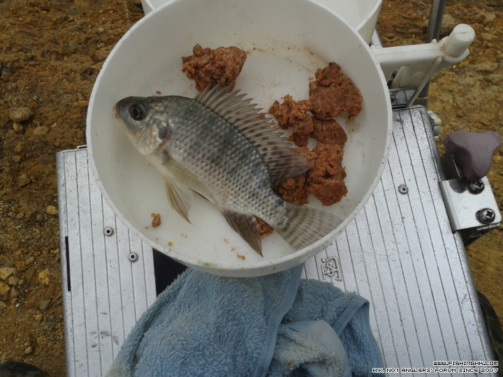 20150310_145755.jpg