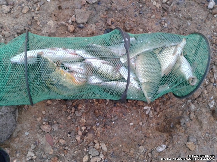 20150310_172534.jpg
