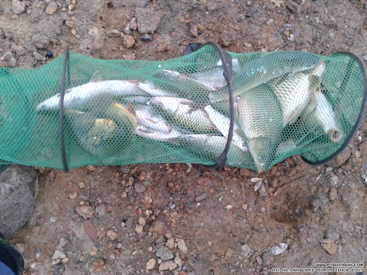 20150310_172537.jpg