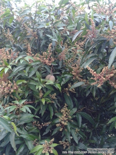 20150317_070512.jpg