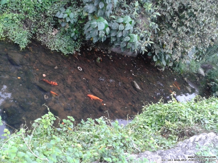 20150317_071059.jpg