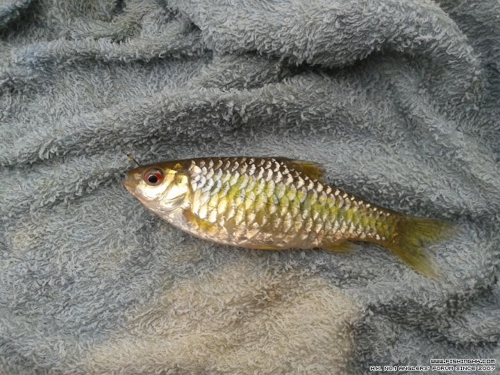 20150317_082807.jpg