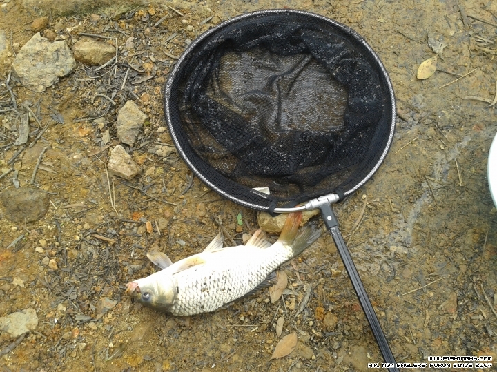 20150317_083155.jpg