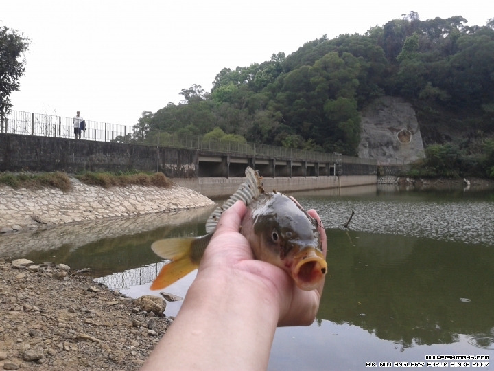 20150317_083202.jpg