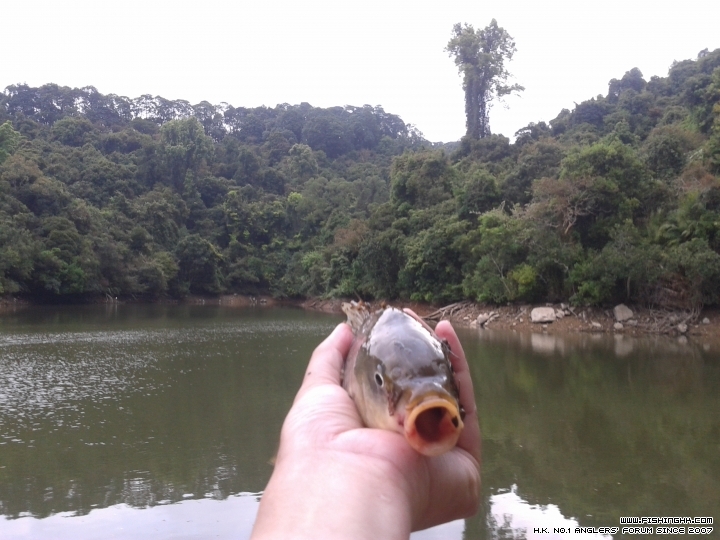 20150317_083209.jpg