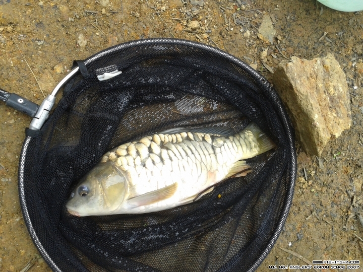 20150317_133008.jpg