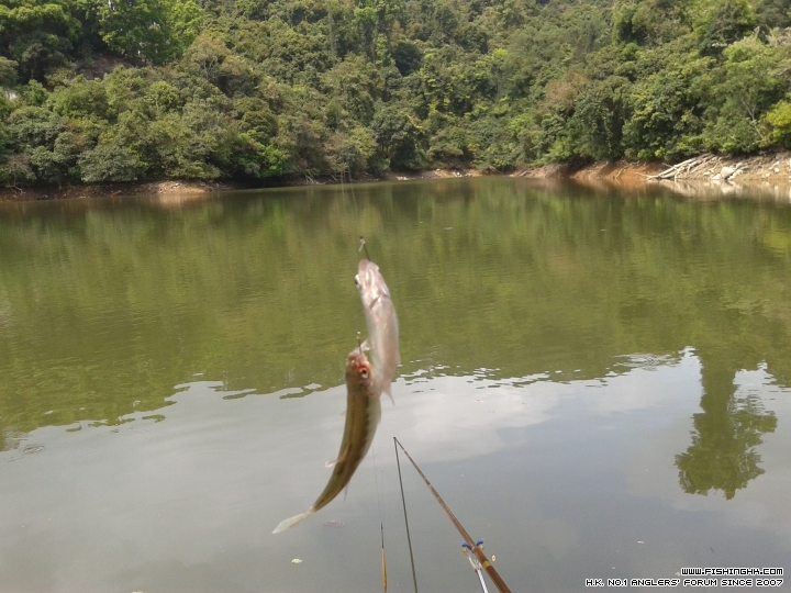 20150317_142648.jpg