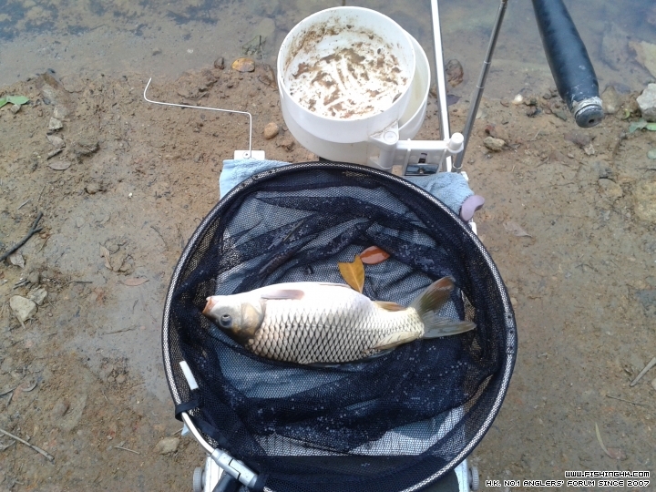 20150317_175750.jpg