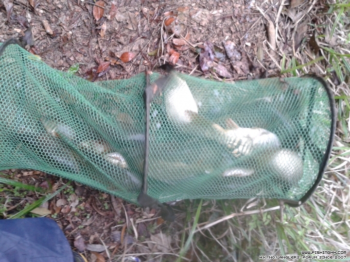 20150317_175919.jpg