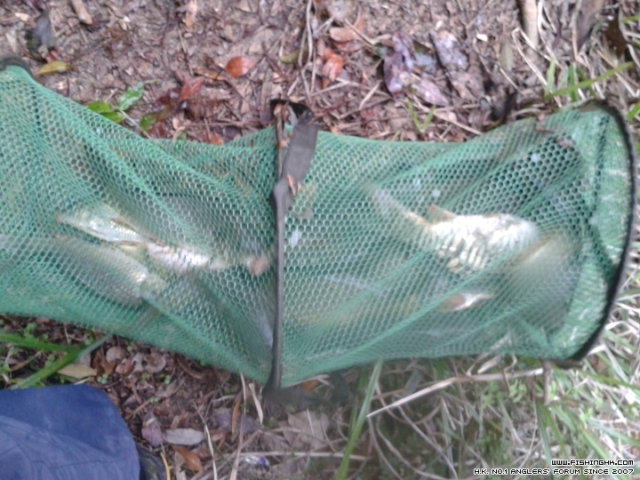 20150317_175922.jpg