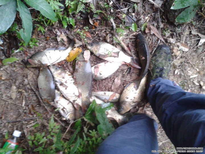 20150317_180309.jpg