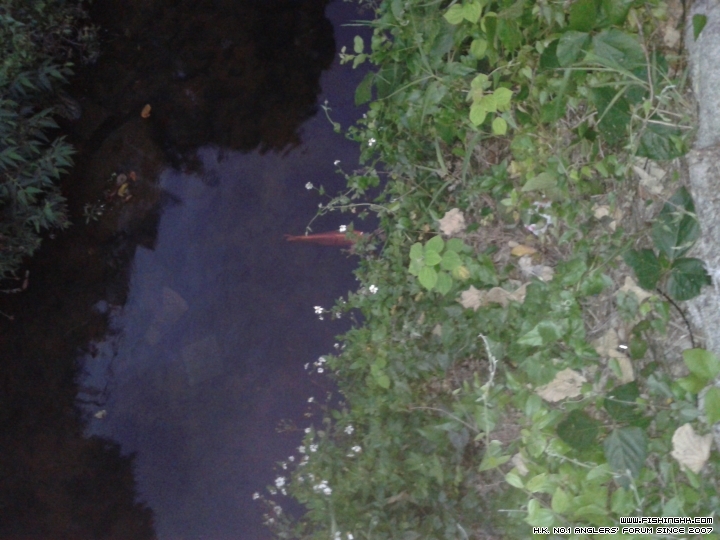 20150317_184515.jpg
