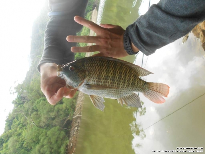 DSCN1818.JPG