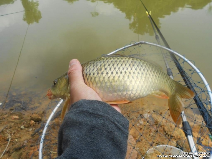 DSCN1829.JPG