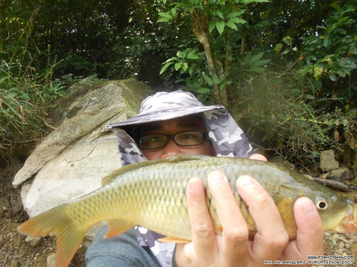 DSCN1830.JPG