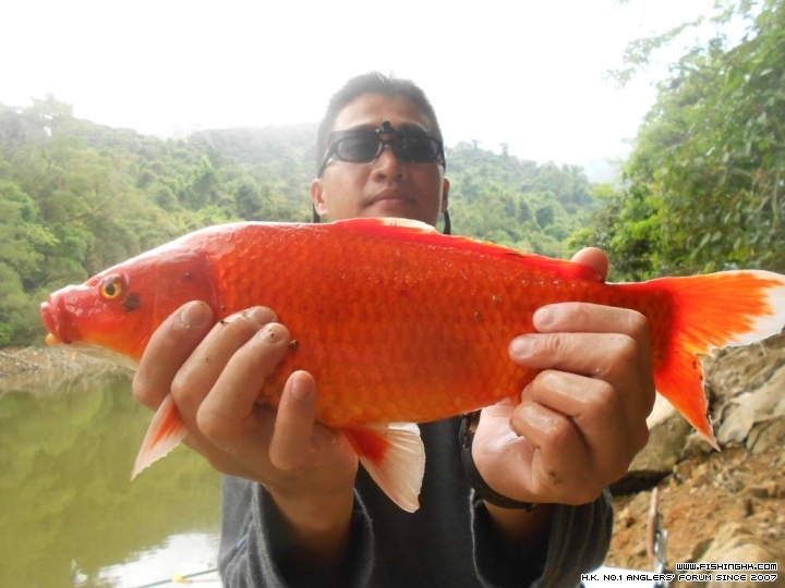 DSCN1843.JPG