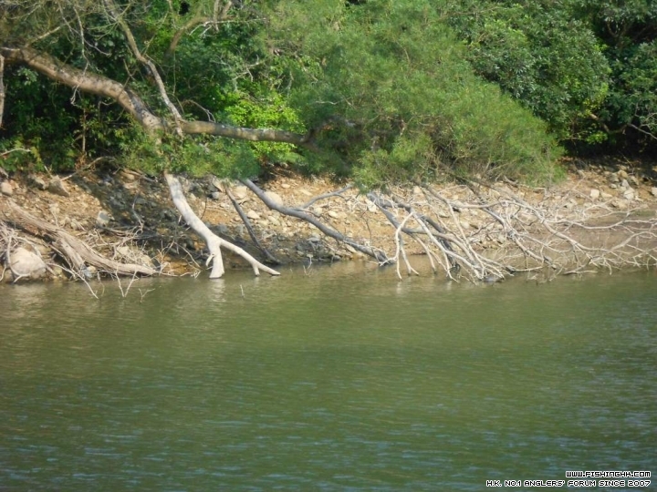 DSCN1863.JPG