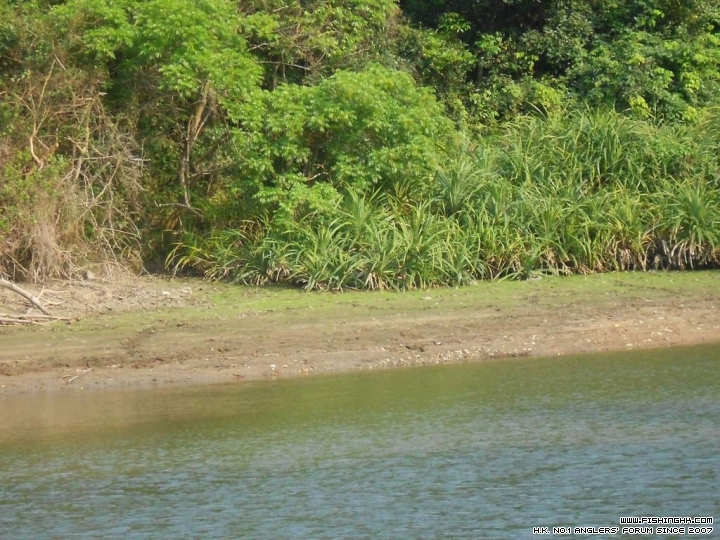 DSCN1864.JPG