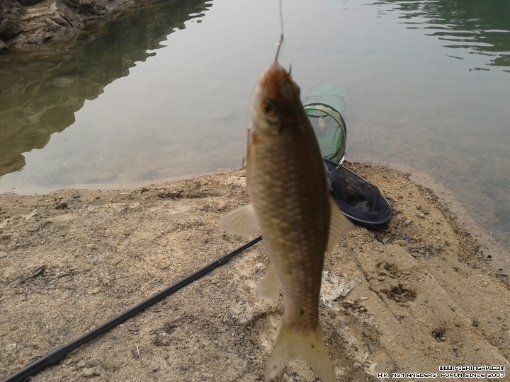 20150321_150454.jpg