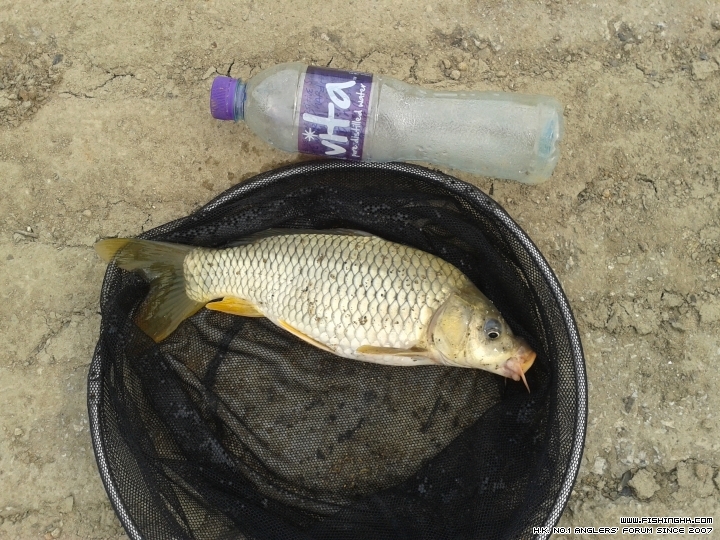 20150321_155648.jpg