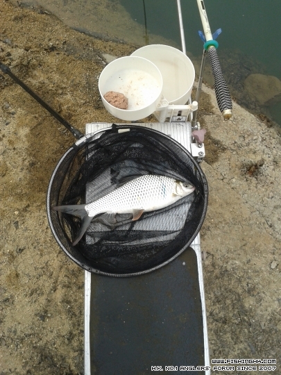 20150321_163101.jpg