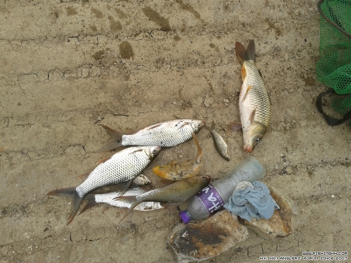 20150321_164547.jpg