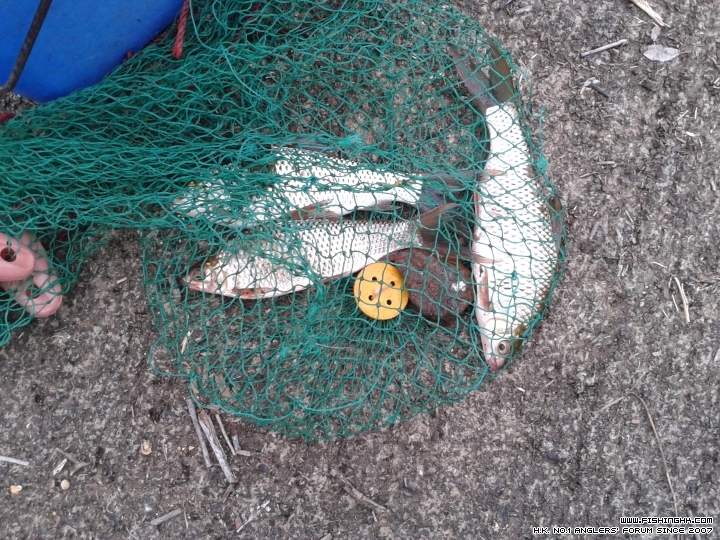 20150321_171058.jpg