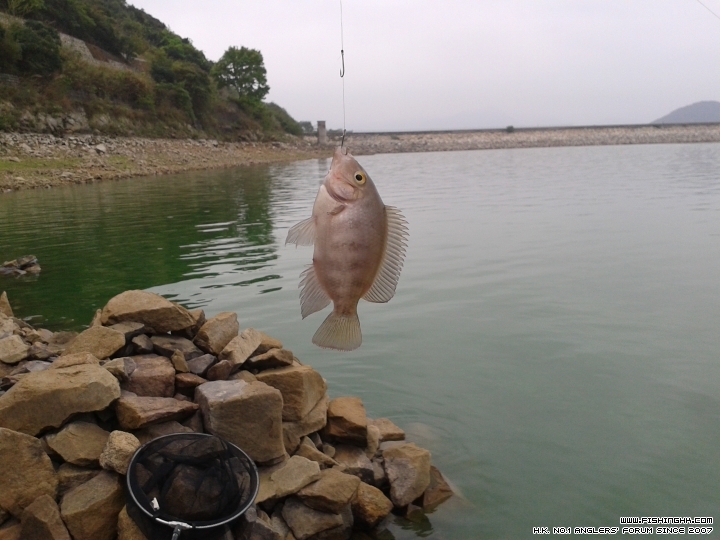 20150322_095958.jpg