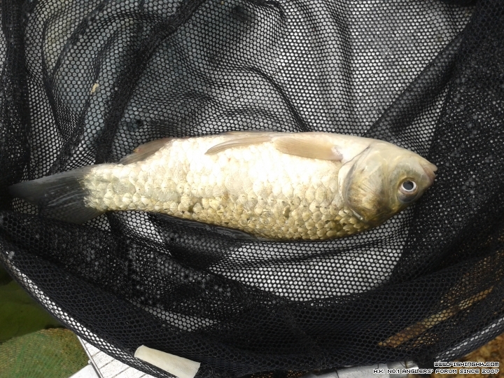 20150322_114011.jpg
