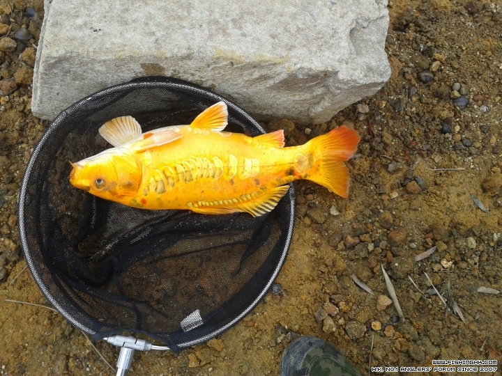 20150328_092736.jpg