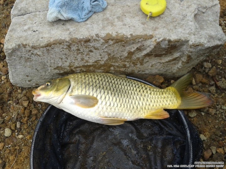 20150328_135847.jpg