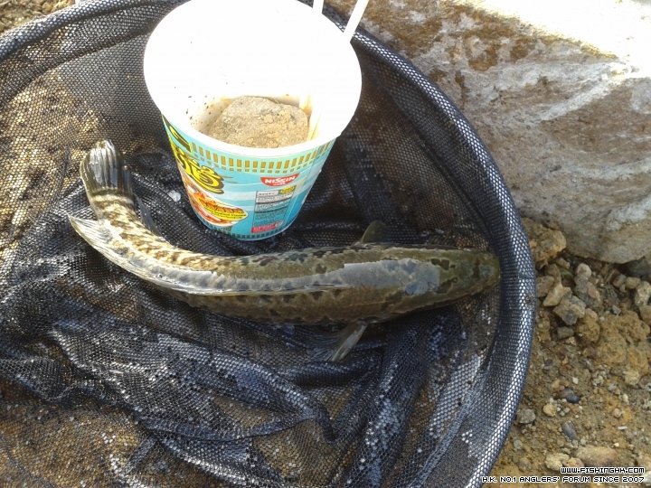 20150328_172939.jpg