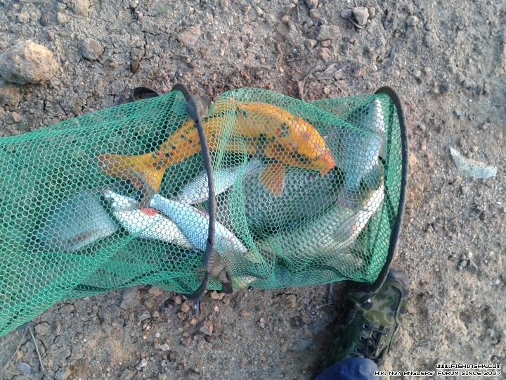 20150328_180159.jpg