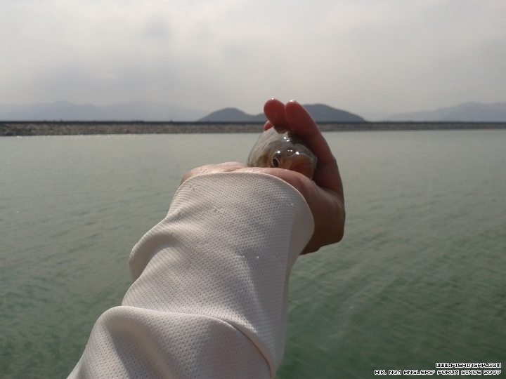 20150329_145848.jpg