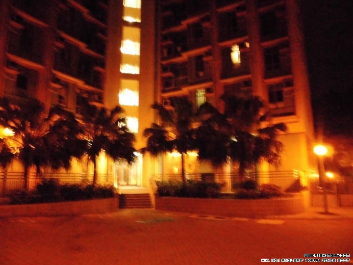 CIMG0008.JPG