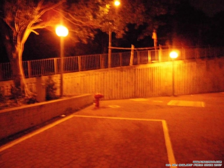 CIMG0007.JPG