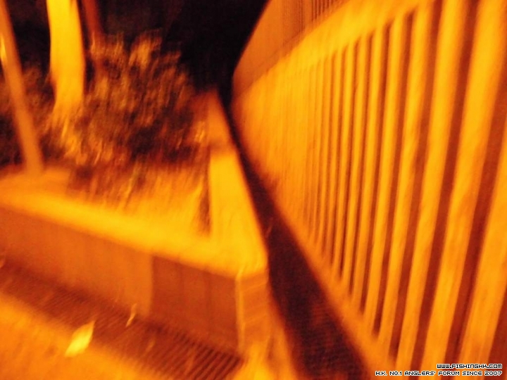 CIMG0009.JPG