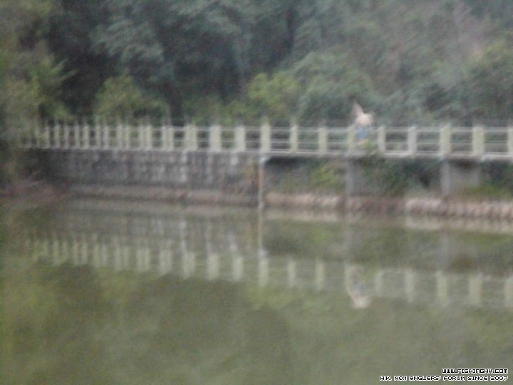 CIMG0028.JPG