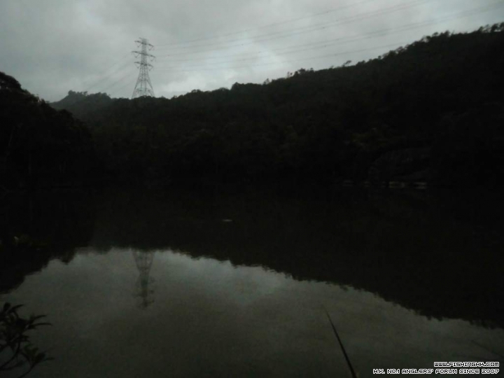 CIMG0095.JPG