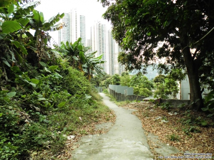 CIMG0173.JPG